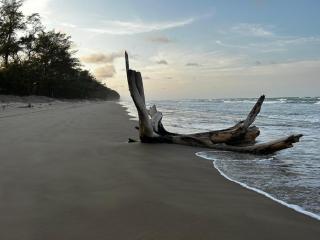 Beautiful Beach House with Private Pool in Tuxpan - Colibrí - La Laja - 9