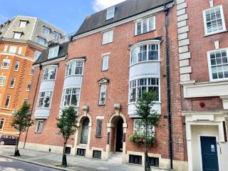Lovely studio, 5 mins to Big Ben, Central London - Londra - 9