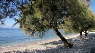 Iro family apartments pelion - Lefokastro - 6