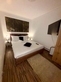 Apartament Vintage - Sighişoara - 9
