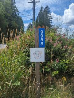 Tree Ring Cabin on 33 Acre Farm - 2