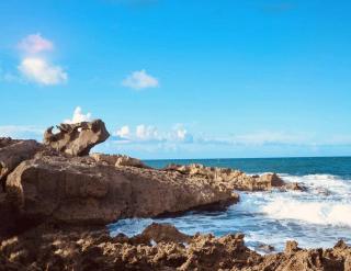 Dorado Tranquil Escape - 3