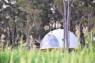 Mile End Glamping - Yelverton - 8