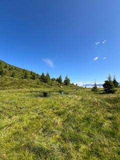 Panorama Apart - Hippach - 9