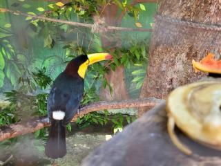 La casa del pescador - 2