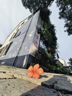 Suzhou Tree B&B - Suzhou Shushan Eco Village - 4