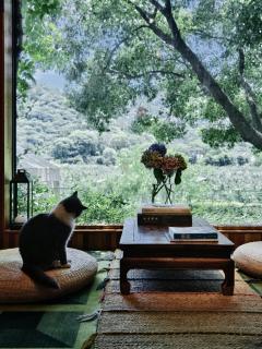 Suzhou Tree B&B - Suzhou Shushan Eco Village - 6