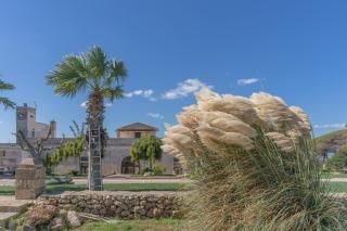 Masseria Casina Bellanova - Porto Cesareo - 9