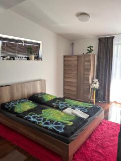 Apartment Pharamis - Bešeňová - 9