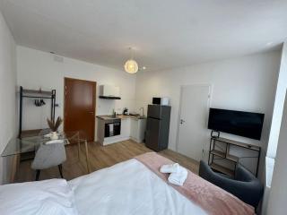 Le studio Champêtre - Mulhouse - 6