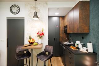Studio apartman Navis - Slavonski Brod - 1