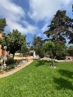 La Villetta di Sofia - Carini - 7