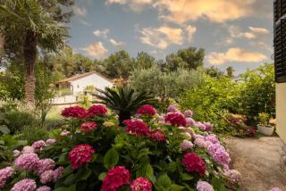 Amelia - Mali Lošinj - 8