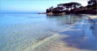 Location corsica - Ajaccio - 9