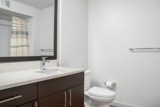 Bellevue jr 1br w lounge wd nr shops coffee SEA-615 - 1