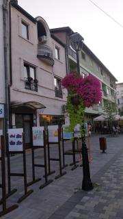 Hacijenda - Bajina Bašta - 0
