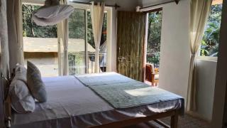 Gurukul VedaLife - Homestay - Canacona - 7