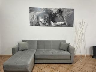 Airport 5 - Free Wifi - Parking - AC - Fiumicino - 2
