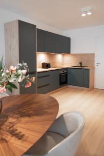 SCHÖNTALHAUS City Apartments - Aschaffenburg - 5