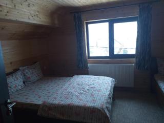 Cabana Alpin Șureanu - Ciban - 1