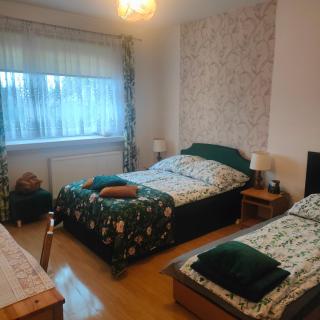 Agrogospodarstwo HALINA ŁUC - Sasino - 9