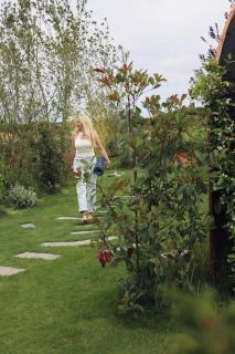 Dragonfly Glamping Spa Retreat - Ashford - 3