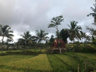 Bello Ethnic Bungalow & Resto - Tetebatu - 9