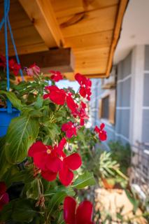 Vila Visi - Ksamil - 5