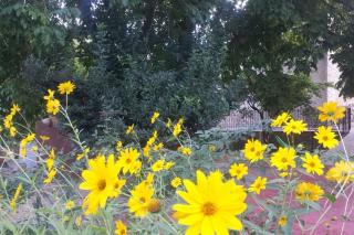 Desconecta en el Valle de Tus - 3