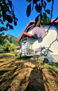 Kosta's romantic house - Plav - 0