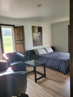 Le petit Manoir Spa et Vue sur rivière St Maurice - 1