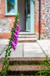 Gryngolet Cottage - with Artist Studio - Crabpot Cottages Sheringham - Aylmerton - 7