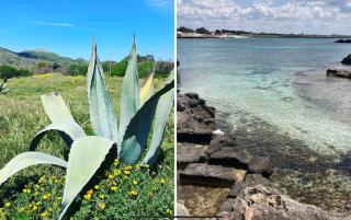 Corallino ai Calamoni at my place - 0