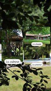 Les Grands Bois Gite et cabane - 0