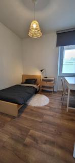 Appartement lumineux 2 chambres - Colmar - 6