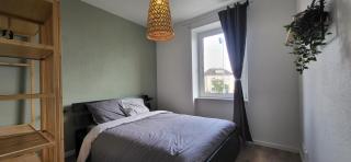 Appartement lumineux 2 chambres - Colmar - 5