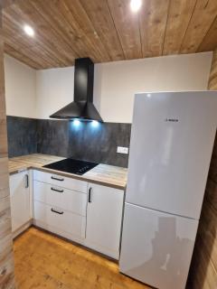 Appartement Atypique Saxel - Saxel - 5