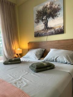 Olivia -Ελιά - 2