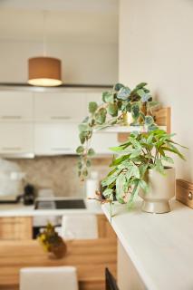Gem of Rotonda, City View Penthouse by BiNoBi! - Tessalónica - 4