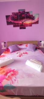 LOVE HOME APARTAMENT Near the Airport - Fiumicino - 4