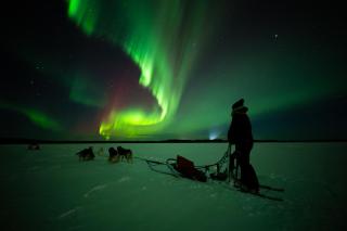 Arctic Guesthouse & Igloos - Ranua - 5