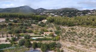 Mas Chamarel, la Provence entre vignes et oliviers proche de la mer - Sanary-sur-Mer - 1