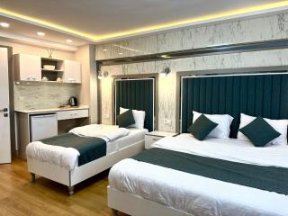 gazelle suites - Istanbul - 8