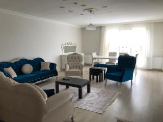 Starfısh Suite - Trebizonda - 0