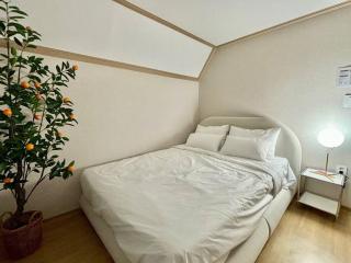 Mangwon local market 5mins, Hongdae, Airport Bus, Hanriver park 10mins 10ppl, Big family house 마포레스트 - Seul - 4