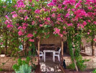 Le Garden Ghardaia - Ghardaïa - 8