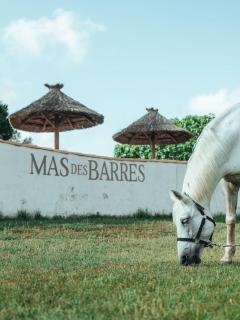 Hotel Mas Des Barres - Saintes-Maries-de-la-Mer - 8