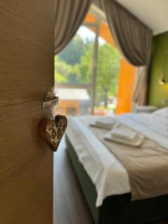 The NEST - Borşa - 6