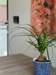 Rinirma - Cocconato - 4