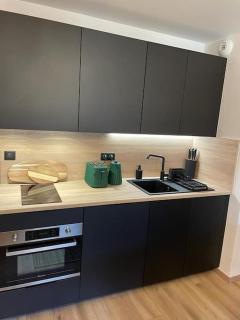 Beautiful central 2 bedrooms apartment in Auron - Saint-Étienne-de-Tinée - 6